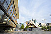 Foto: Prof. Stricker/Prof. Hermann