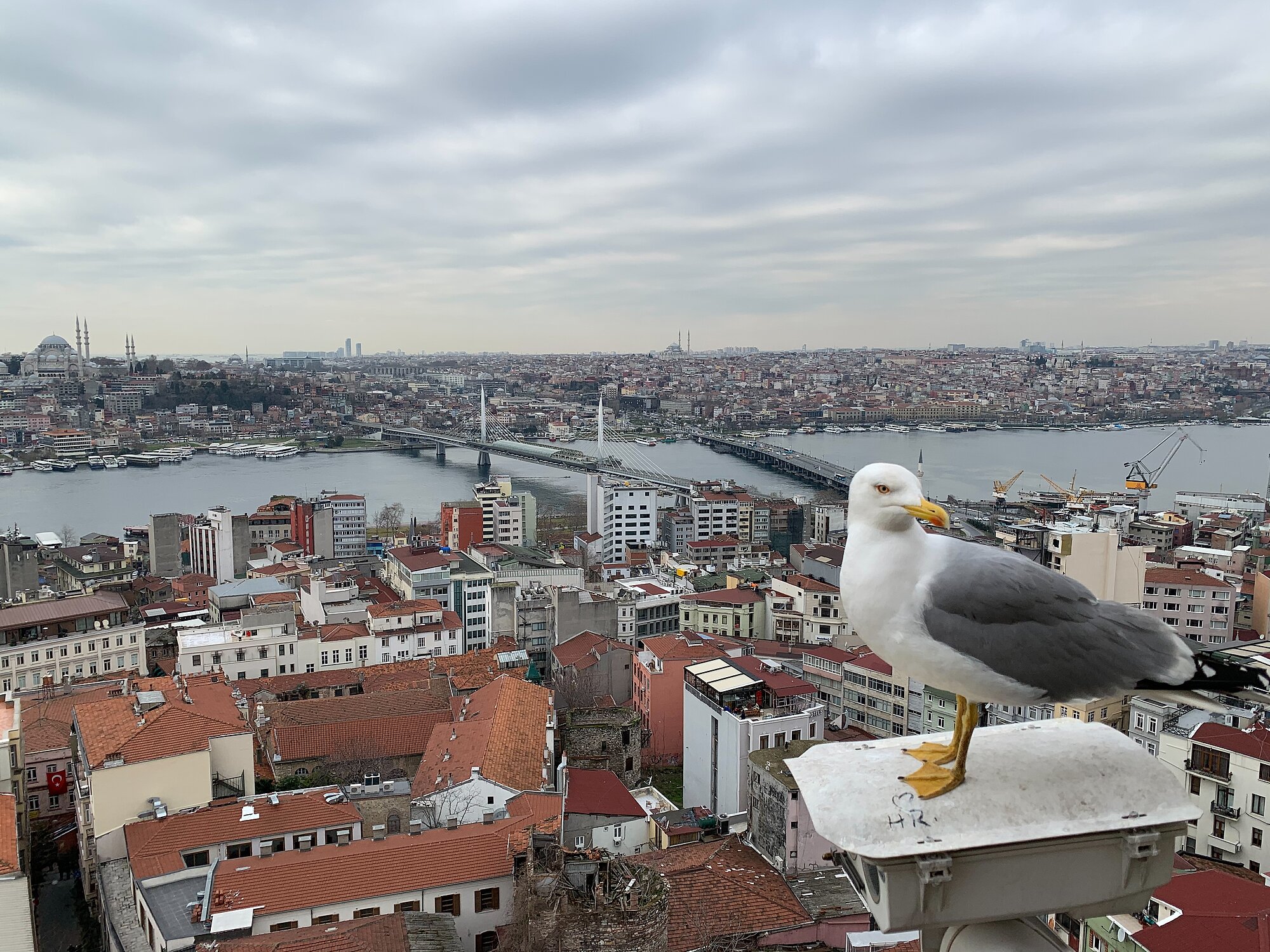 Über den Dächern von Istanbul (Lars-Arne Dannenberg) Über den Dächern von Istanbul